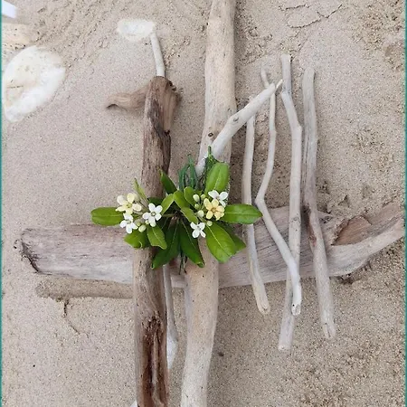 Anthos * Limenas (Thasos)