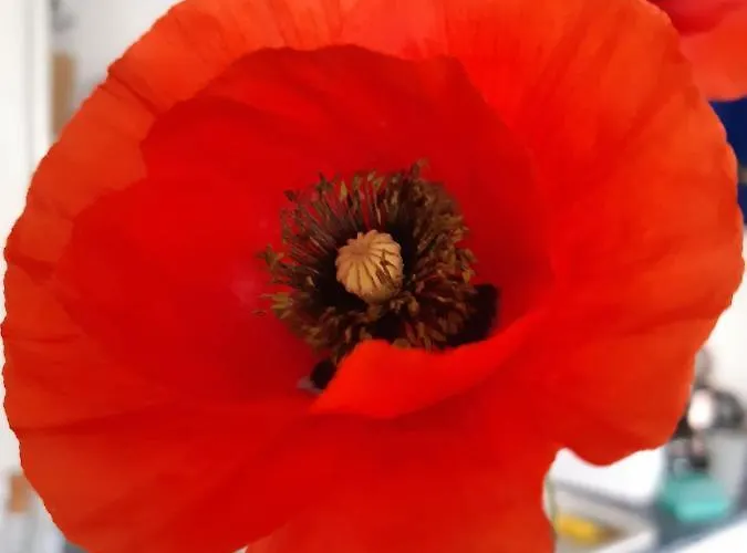 安松公寓式酒店