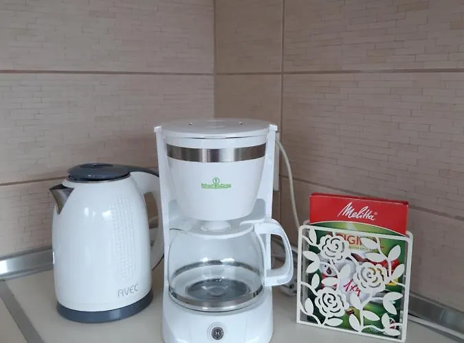 公寓 安松公寓式酒店 萨索斯