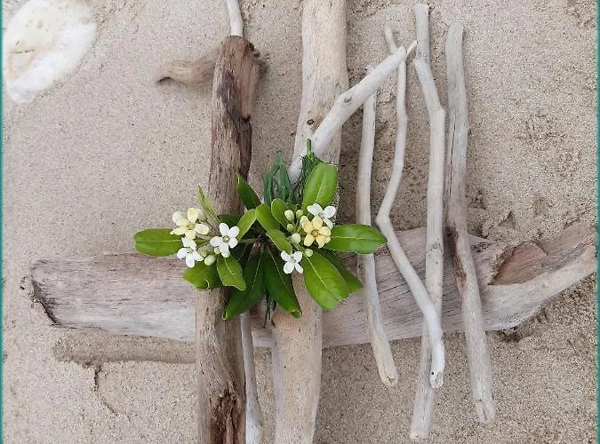 安松公寓式酒店 * 萨索斯